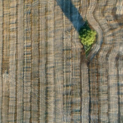 A more sustainable future for all: Introducing the UN Sustainable Development Goals in InCites