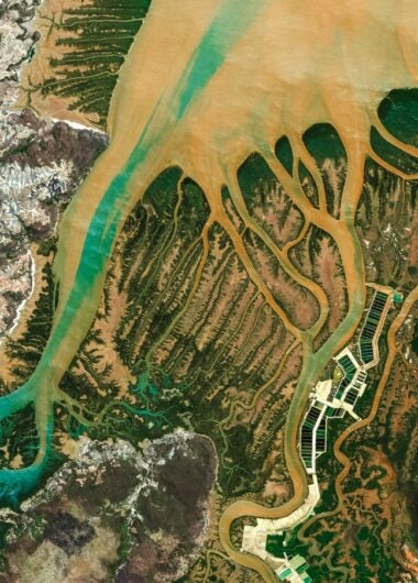 The changing research landscape of the Middle East, North Africa and Turkey
