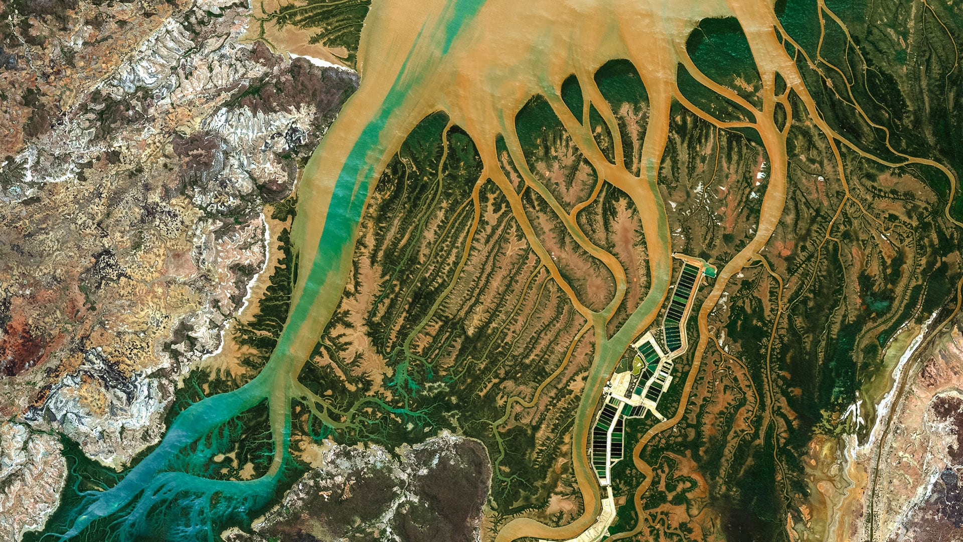 The changing research landscape of the Middle East, North Africa and Turkey [Report]