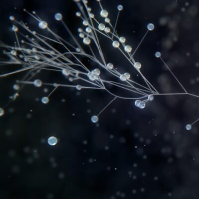 Citation Laureates 2020: The giants of research