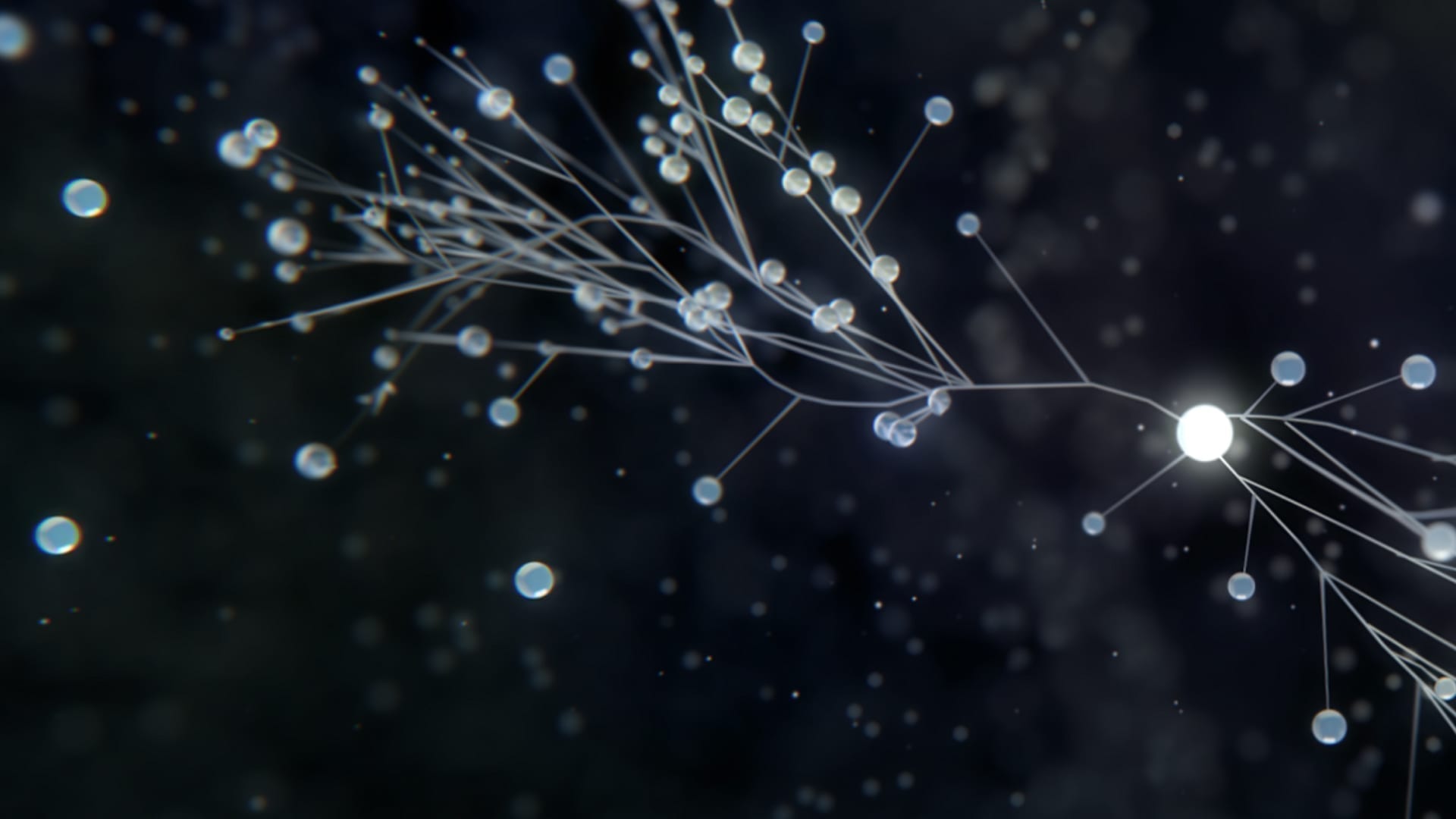 Clarivate identifies global scientific pioneers on annual Highly Cited Researchers list