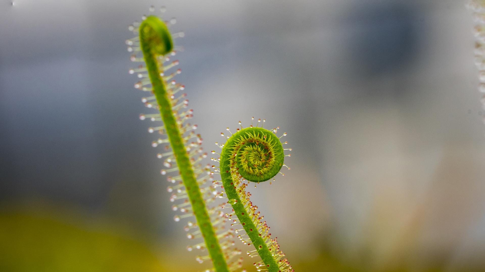 Seventh annual Research Fronts report highlights hot and emerging fields