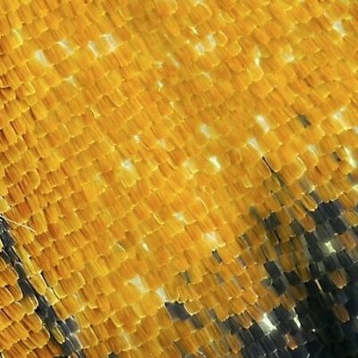 JCR 重新整理及展望 2021 年導入的 Early Access 內容