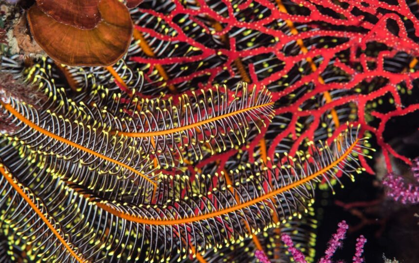 Time to get even – the value of research diversity