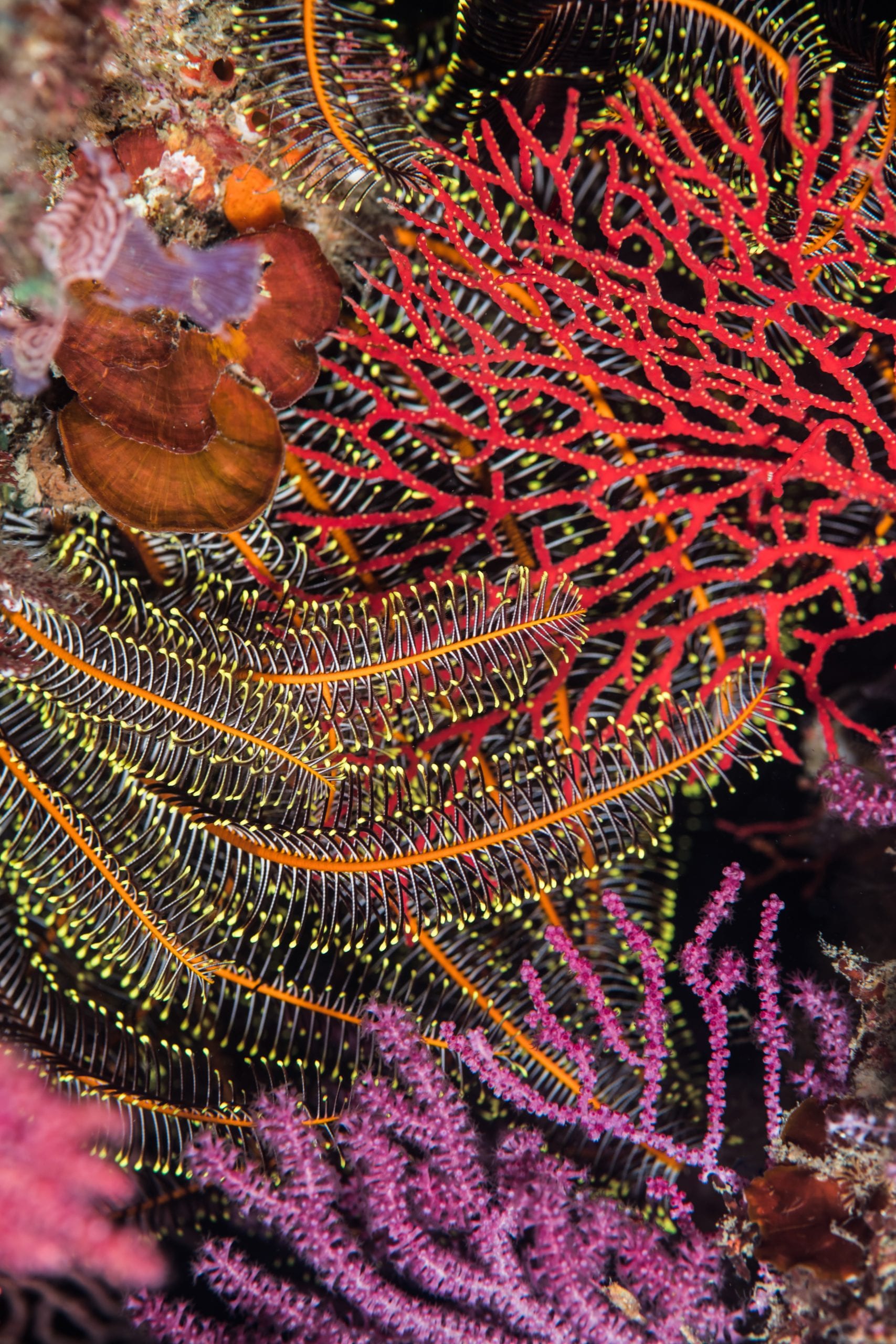 Time to get even – the value of research diversity