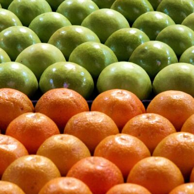 ISI最新報告強調數據分類演進發展的重要性