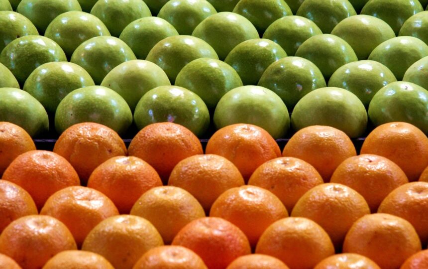 ISI最新報告強調數據分類演進發展的重要性