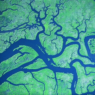 針對 Journal Citation Reports 增添 Early Access 內容：選擇使用前瞻模型