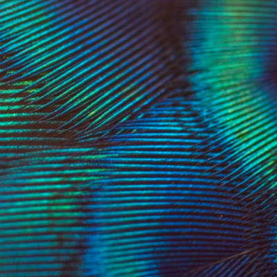 Have the 2010s been good for peer review?