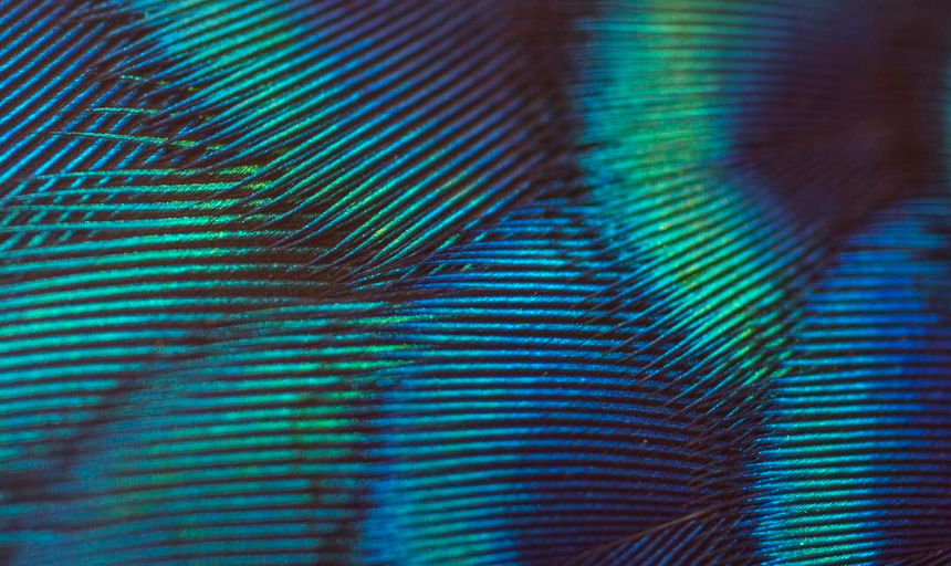 Have the 2010s been good for peer review?