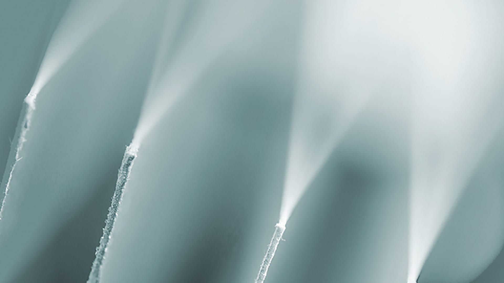 透過Web of Science找尋最夯的蜂蜜與檸檬研究文獻