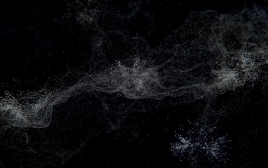 為 2021 高被引學者喝采：國立成功大學篇