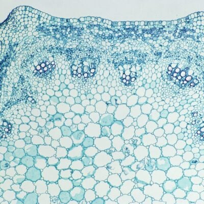 Innovating to improve research integrity