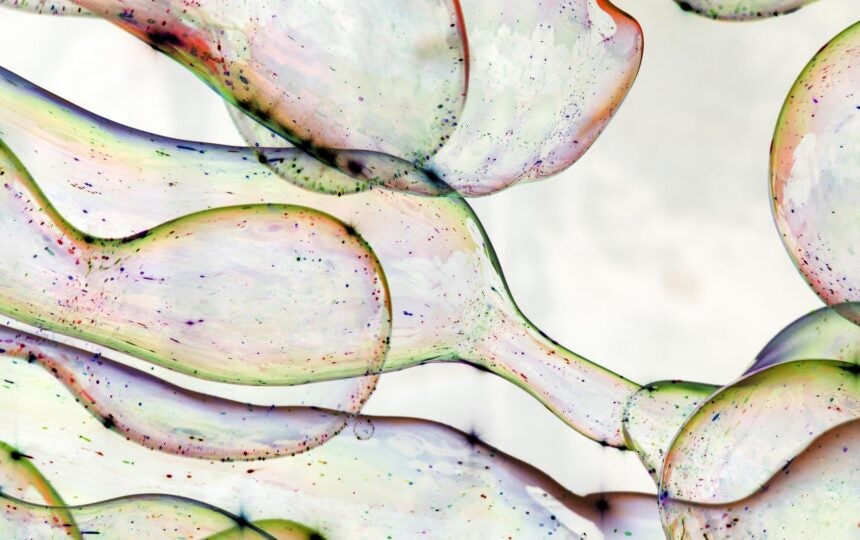 Identifying Research Fronts in the Web of Science: From Metrics to Meaning