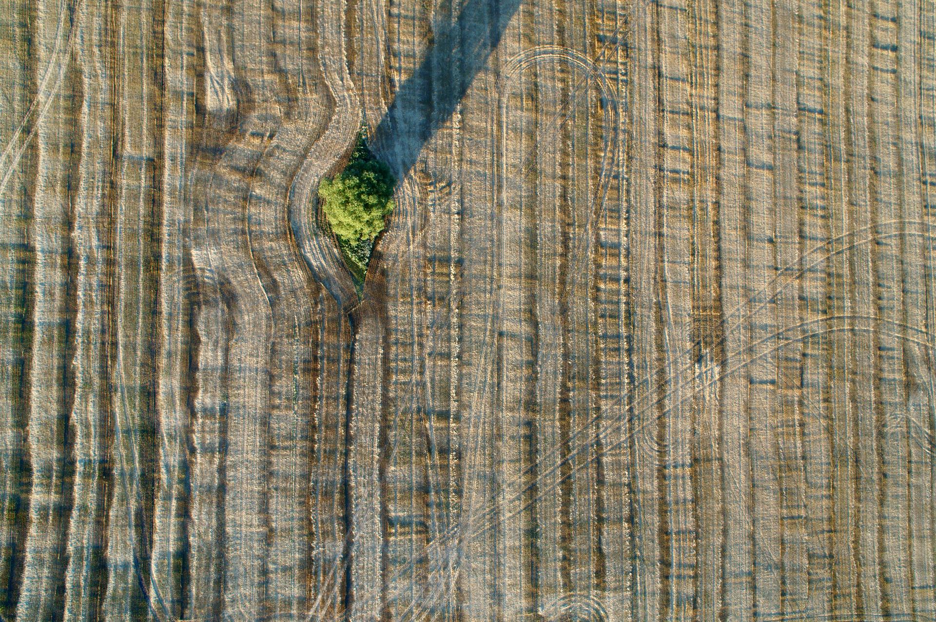 打造更永續的未來：InCites 推出 SDGs 分析功能