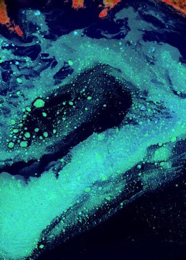 Climate change research collaboration