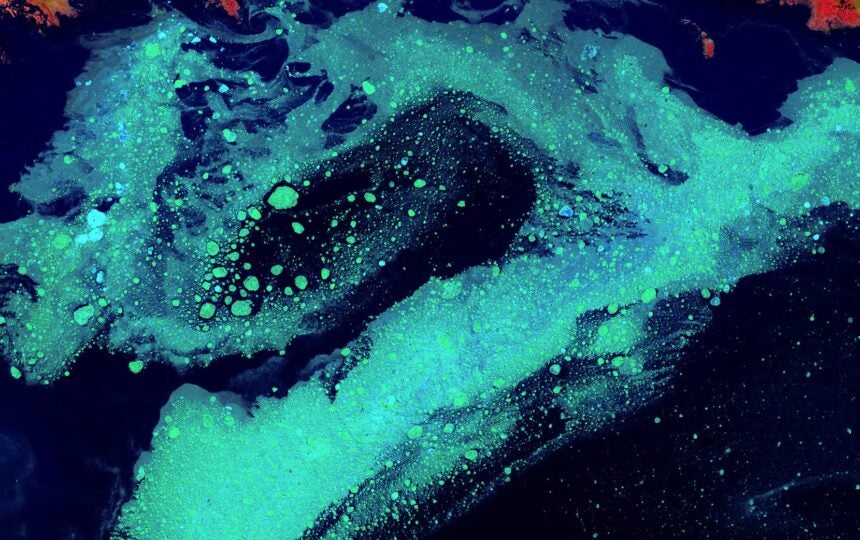 Climate change research collaboration