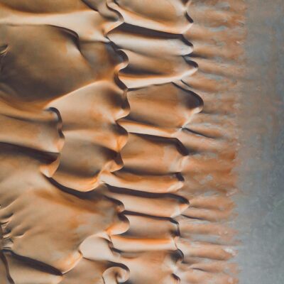 Journal Citation Reports 2022:미리보기