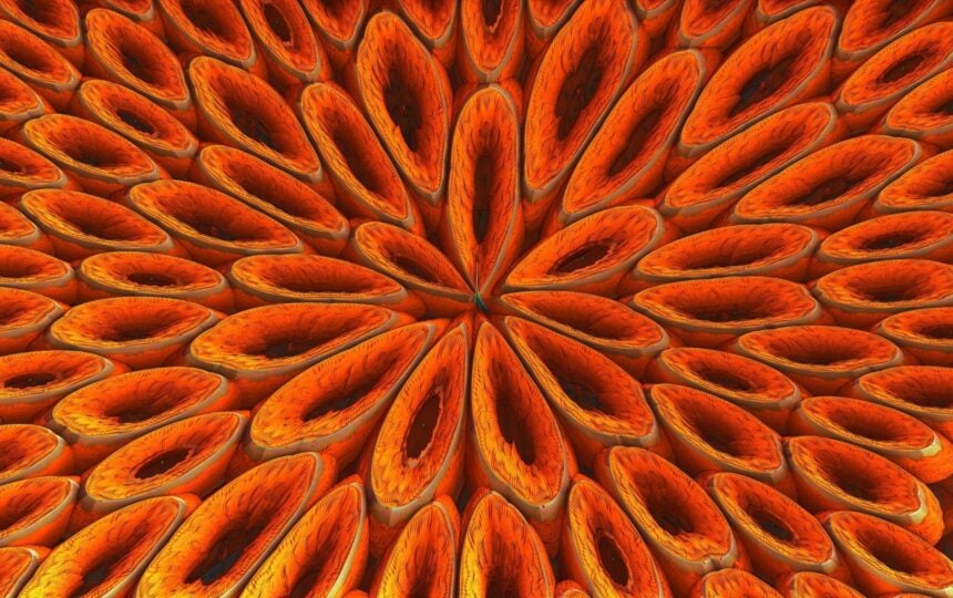 Journal Citation Reports 2022: COVID-19 research continues to drive increased citation impact