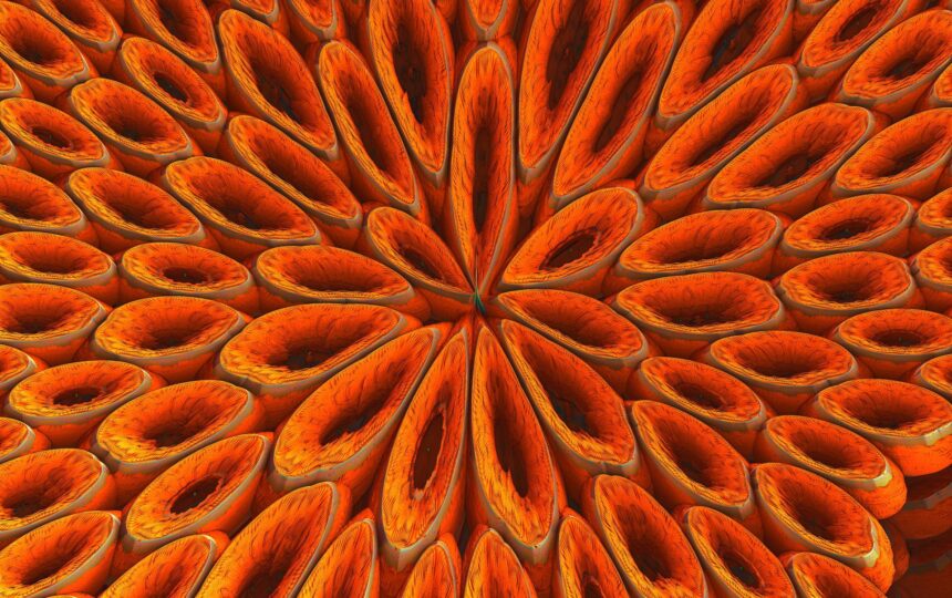 Journal Citation Reports 2022:COVID-19연구가 논문인용에도 지속적인 영향력을 미치고 있음이 밝혀져