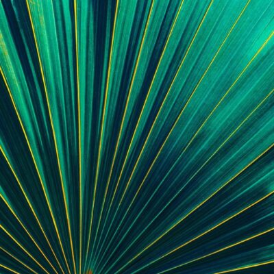 Announcing changes to the 2023 Journal Citation Reports