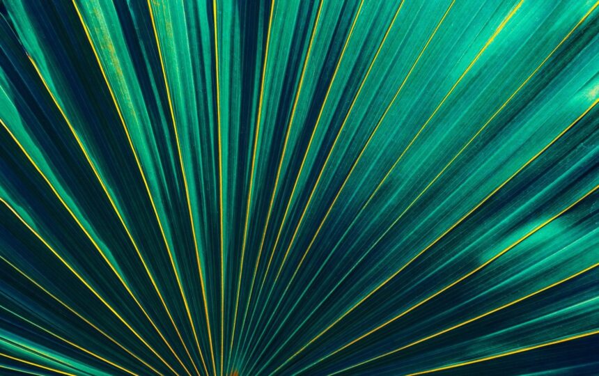 Announcing changes to the 2023 Journal Citation Reports