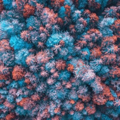 2022年9月ESI最新更新摘要