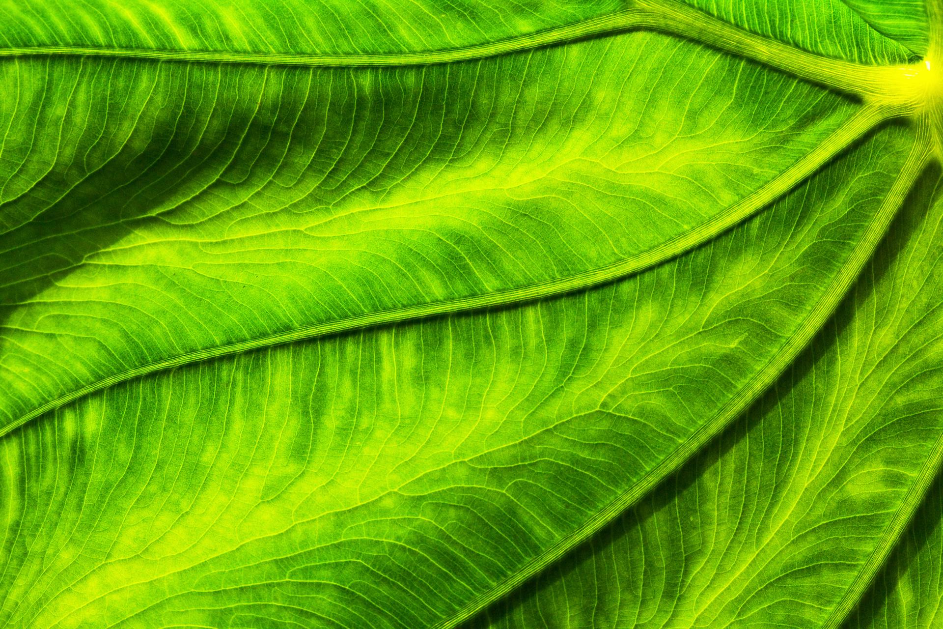 COP 27에서 기후 변화 교육 플랫폼과 관련하여  Web of Science데이터를 주목하다