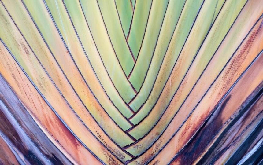 Datasheet  |  Web of Science Author Connect