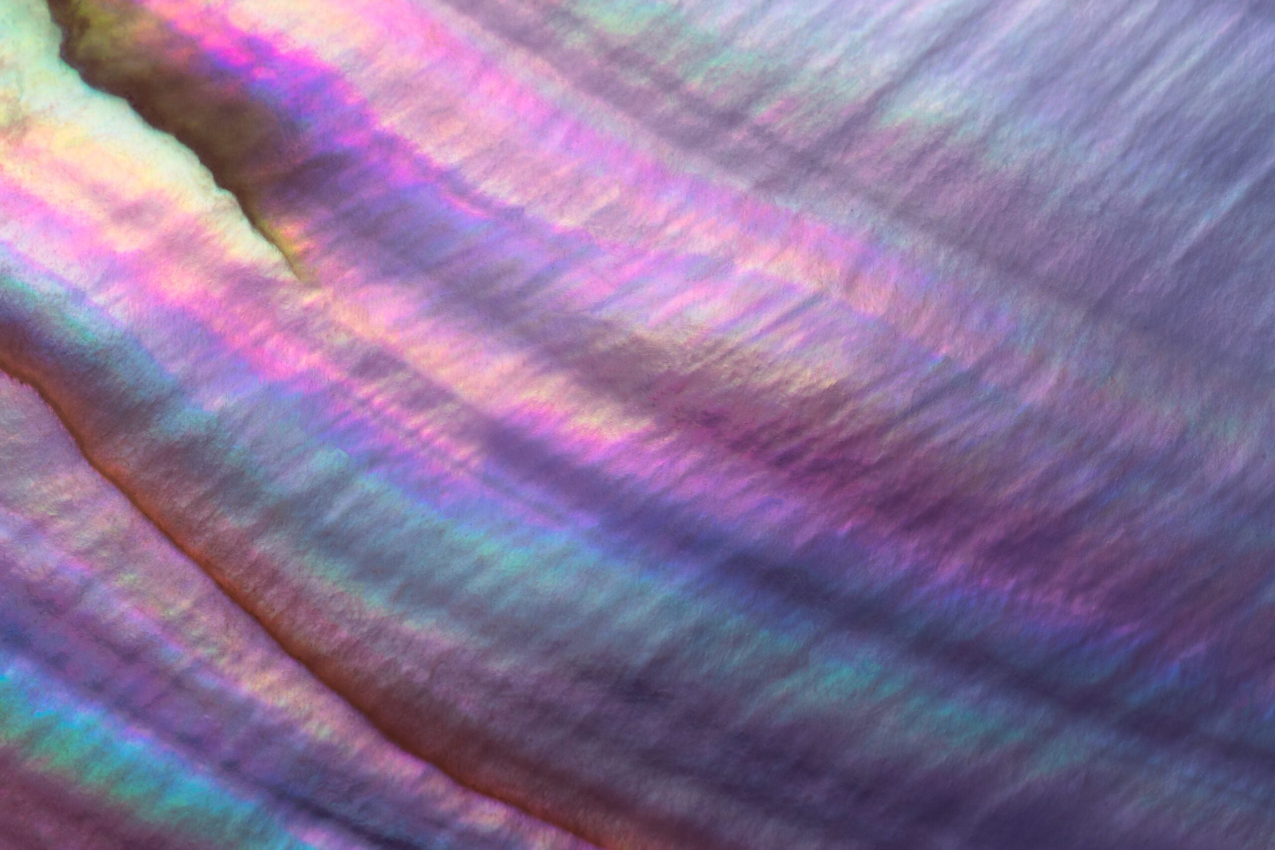 Fostering trust through transparent peer review: A discussion with experts for Peer Review Week 2023