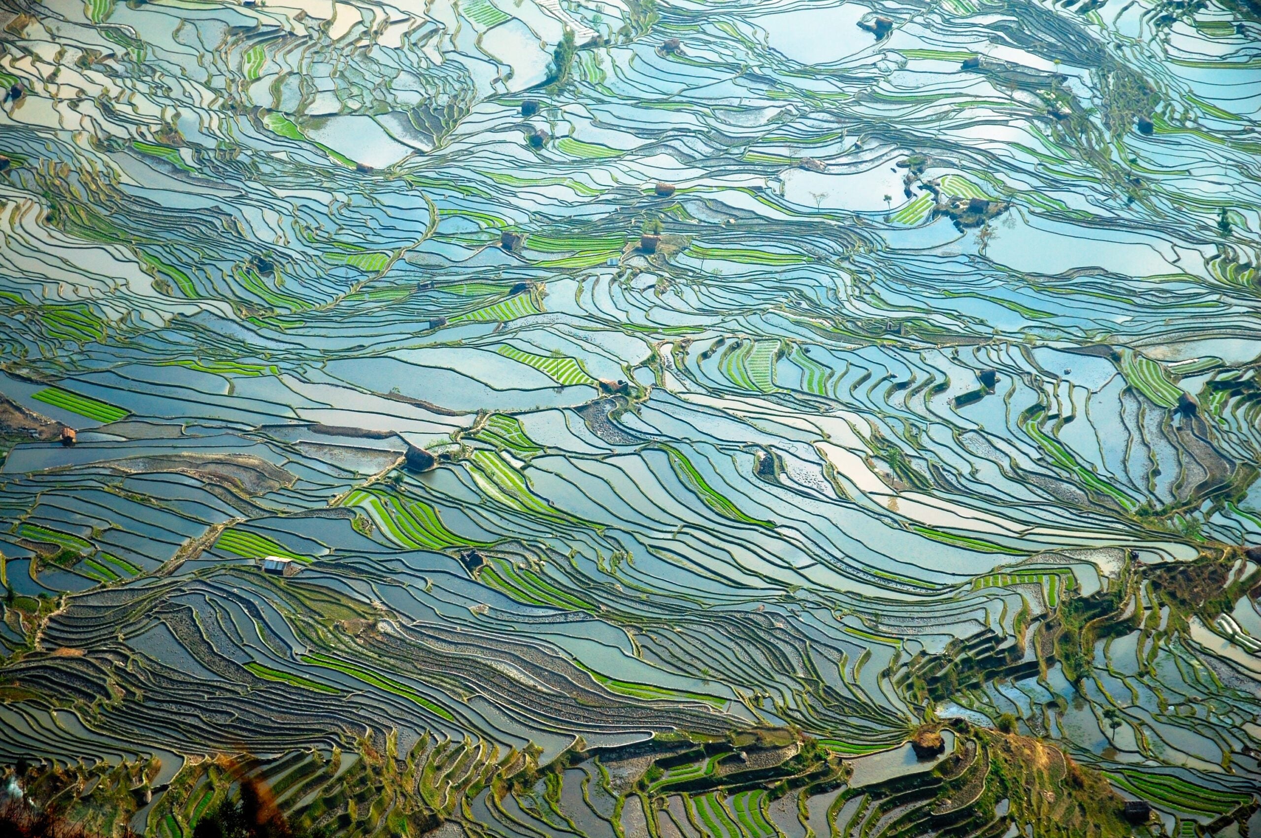 Getting the Full Picture: Institutional unification in the Web of Science