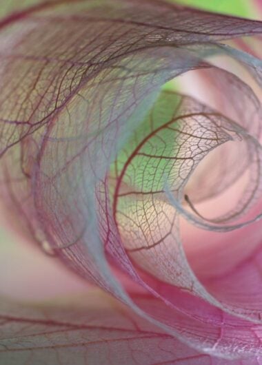 Agentic AI guides in Web of Science Research Assistant