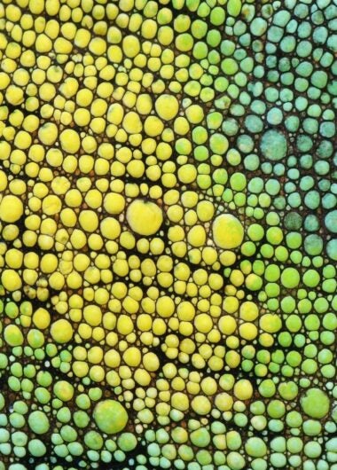 Widen your lens: Research Commons on the Web of Science platform