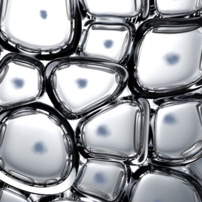 Exploring China’s research landscape and its future direction