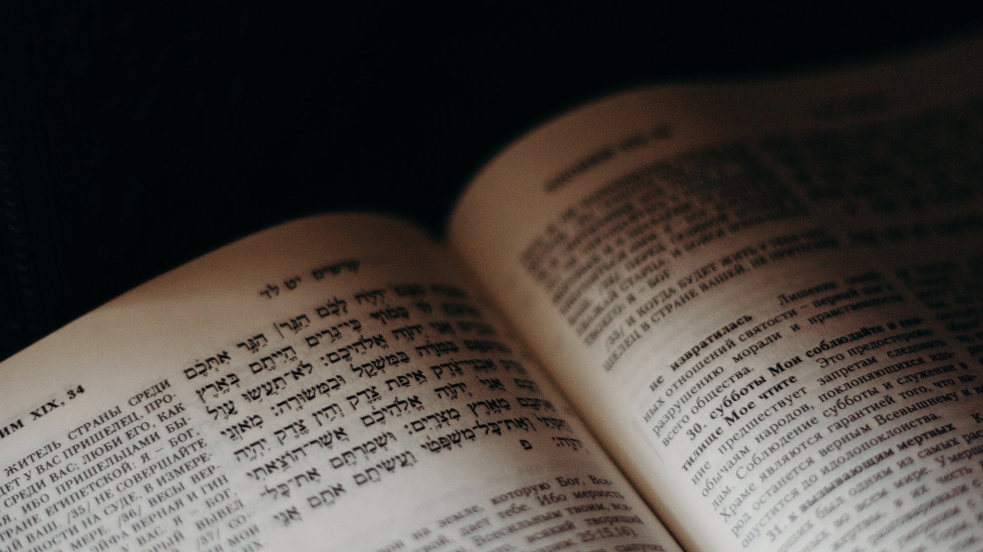 美國史新資源 | History Vault 美國猶太人大會記錄