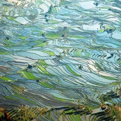 全面瞭解：Web of Science 中的機構歸併