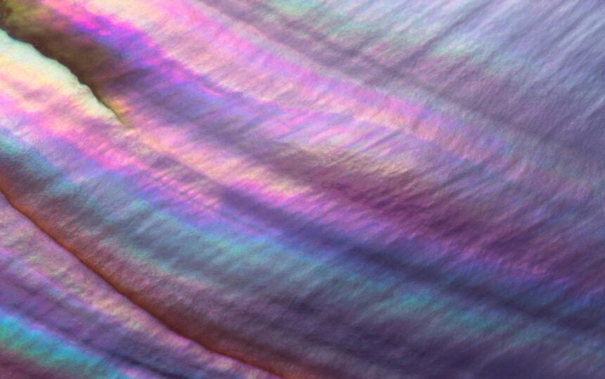 科學突破獎 ——瑪麗安·米爾扎哈尼新前沿獎獲獎者博士論文（2021 - 2025年）