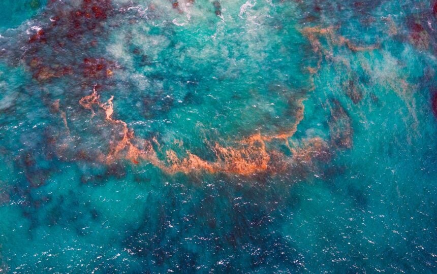 Announcing Research Horizon Navigator 