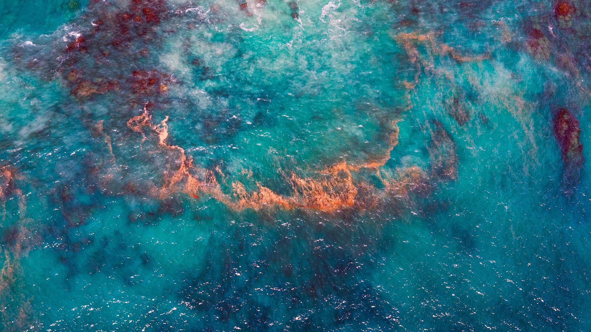 Research Horizon Navigator為您解鎖研究領域中的新興主題