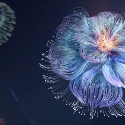 2024年諾貝爾經濟學獎揭曉，「引文桂冠獎」再次全部命中！