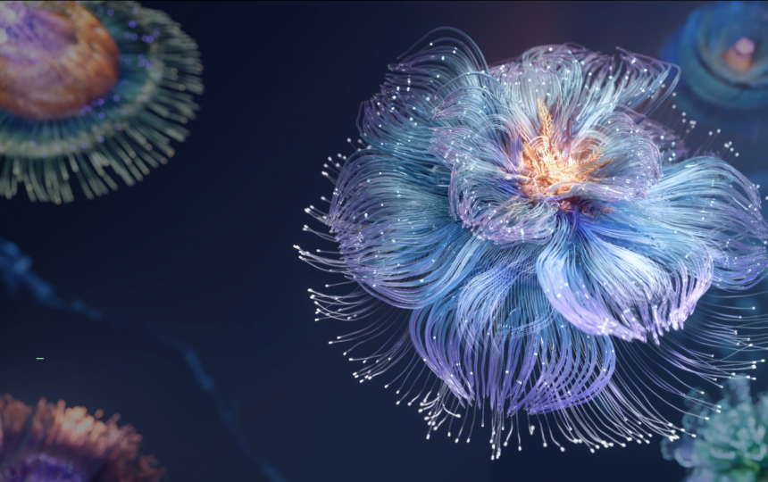 2024年諾貝爾經濟學獎揭曉，「引文桂冠獎」再次全部命中！