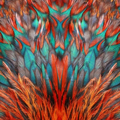 Ex Libris 面向全球 Summon 客戶推出 Summon AI 研究助理