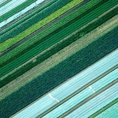 Setting your sustainability research strategy: Using InCites to analyze SDGs