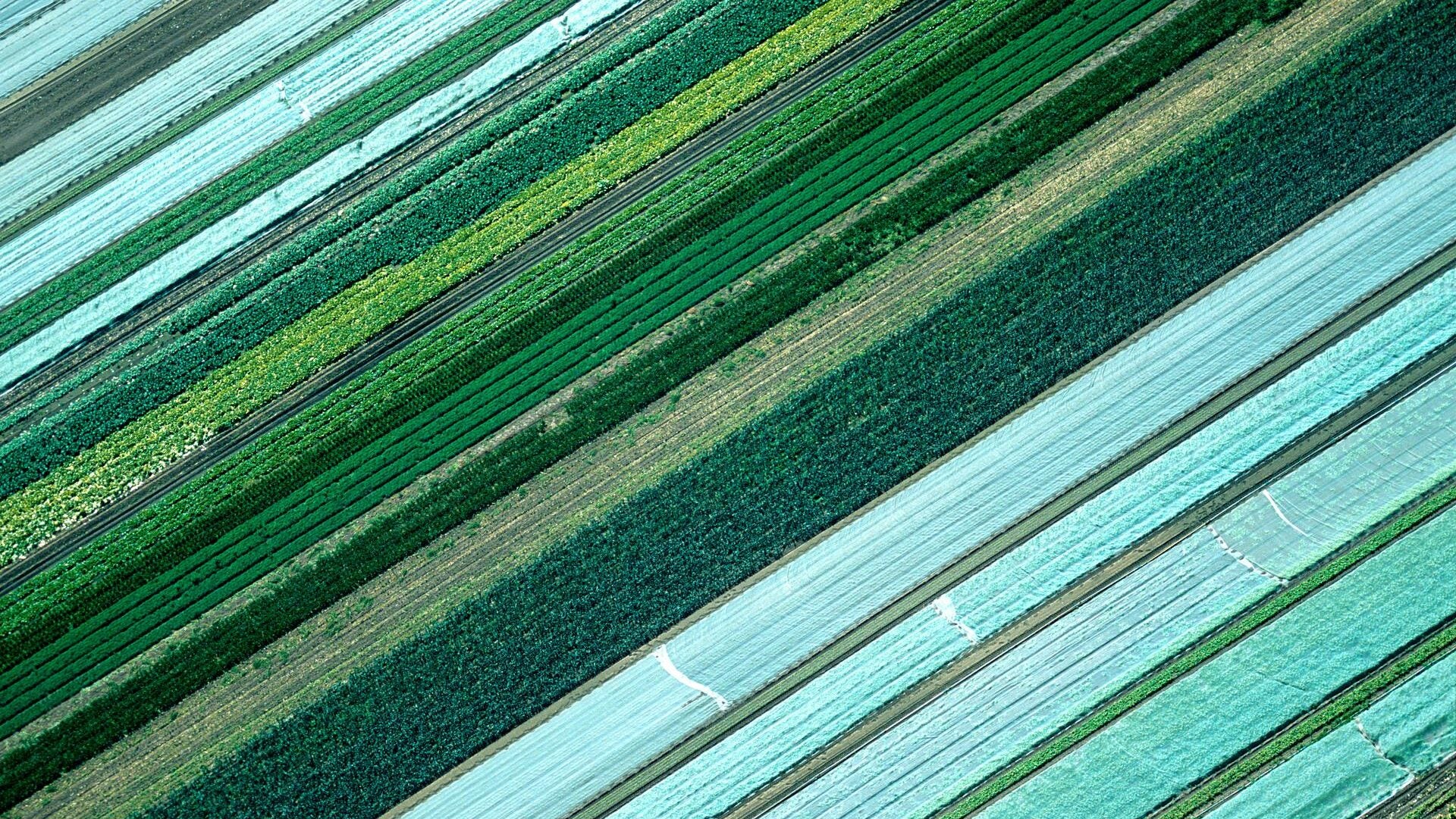 Setting your sustainability research strategy: Using InCites to analyze SDGs