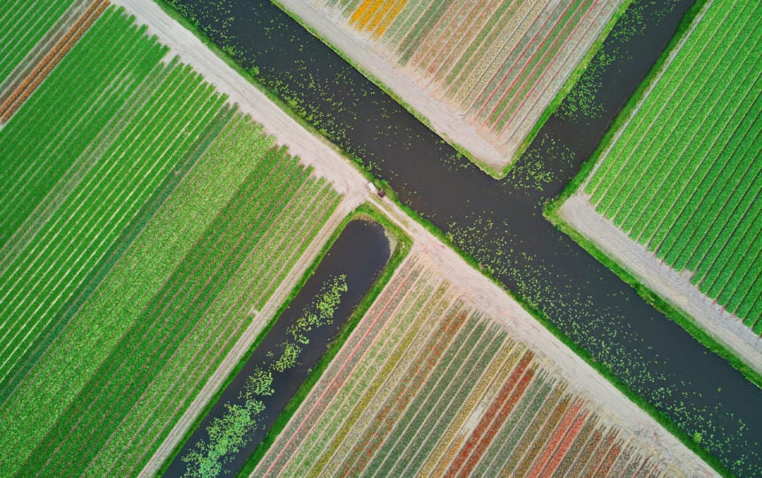 How is Clarivate addressing the environmental impact of AI tools in academia