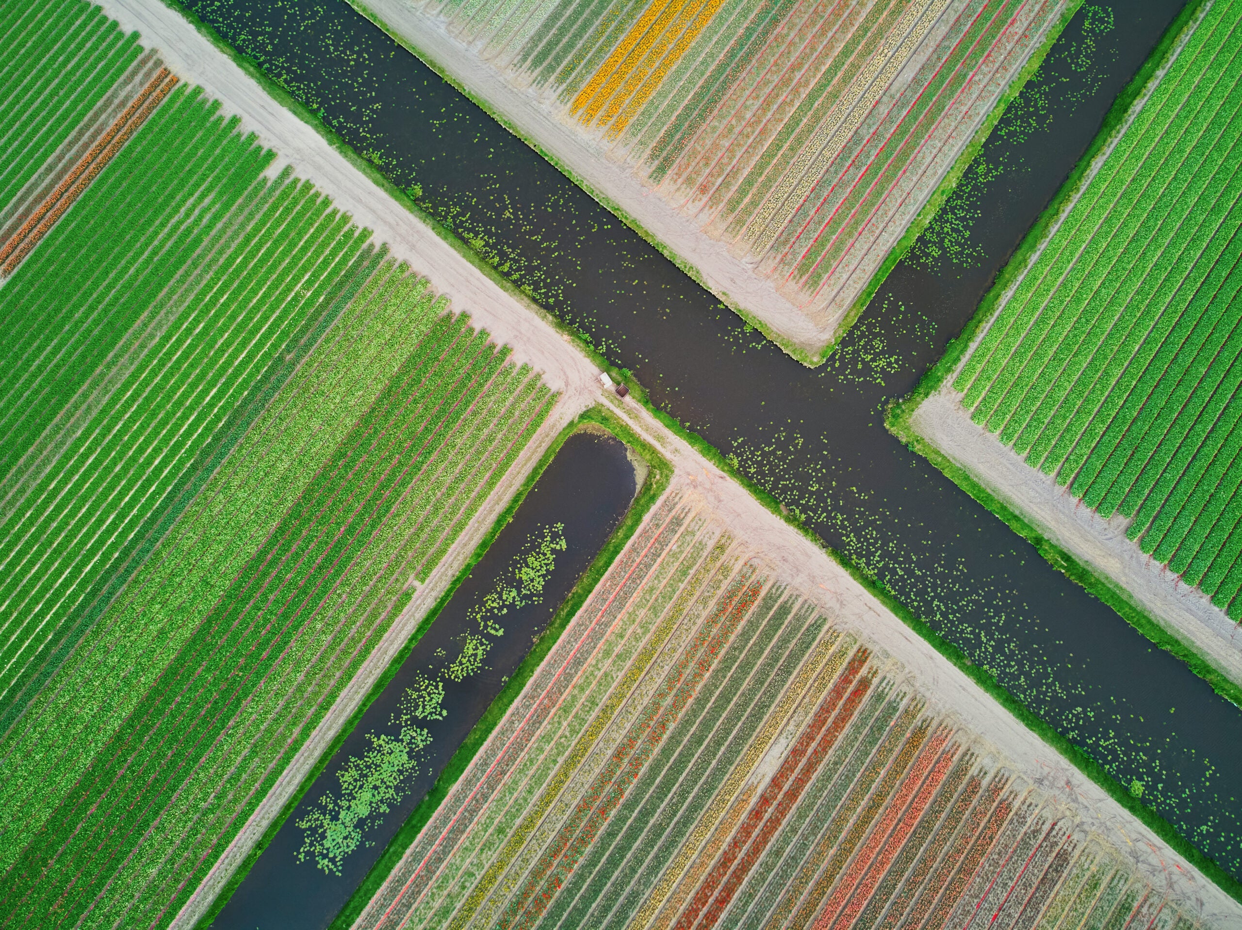 How is Clarivate addressing the environmental impact of AI tools in academia