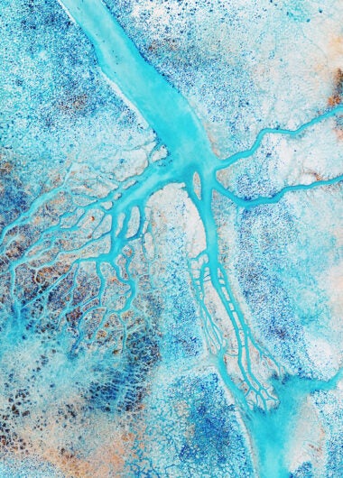 Bringing evidence into focus with Web of Science DeepR