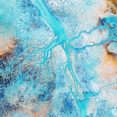 Bringing evidence into focus with Web of Science DeepR