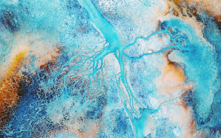 Bringing evidence into focus with Web of Science DeepR