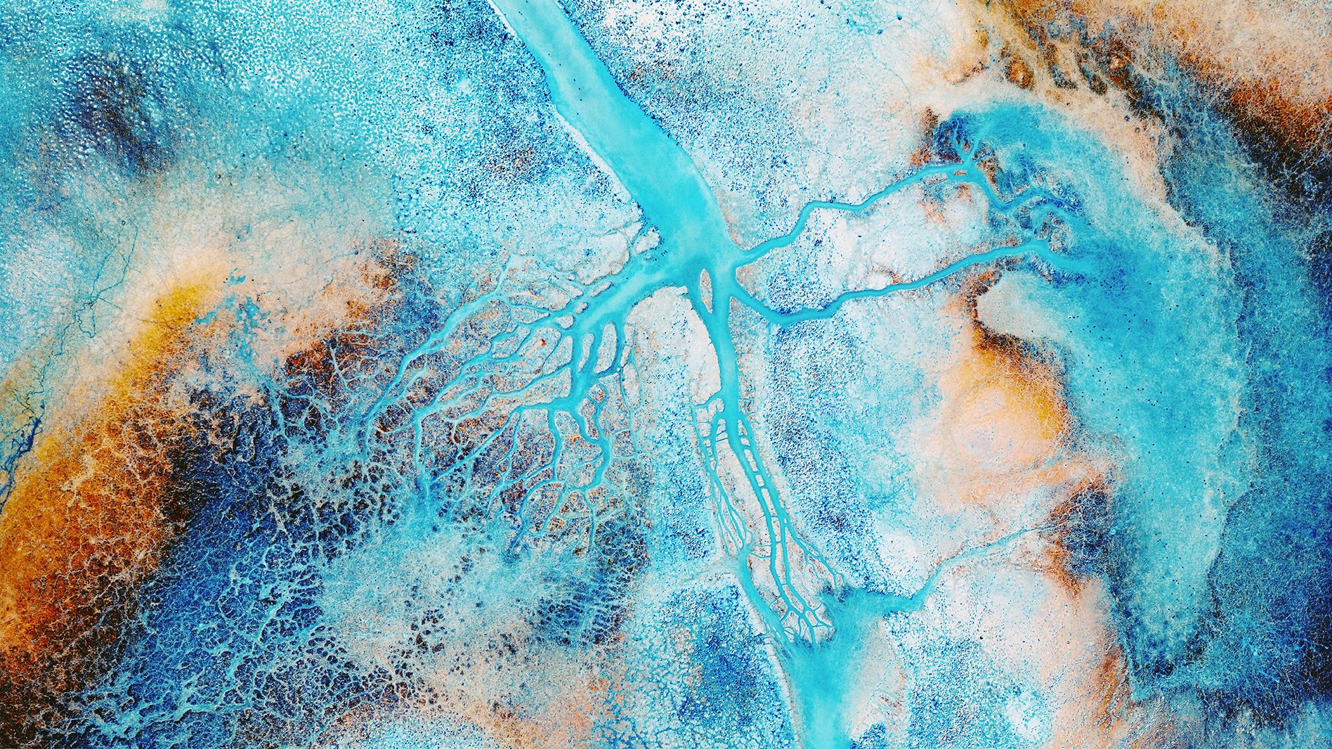 Bringing evidence into focus with Web of Science DeepR
